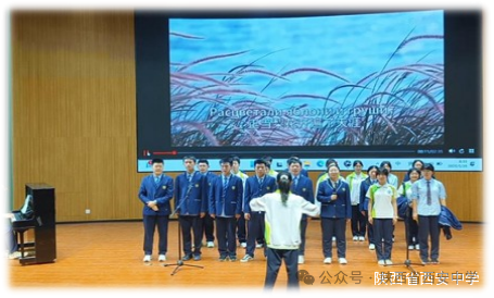 图片39.png