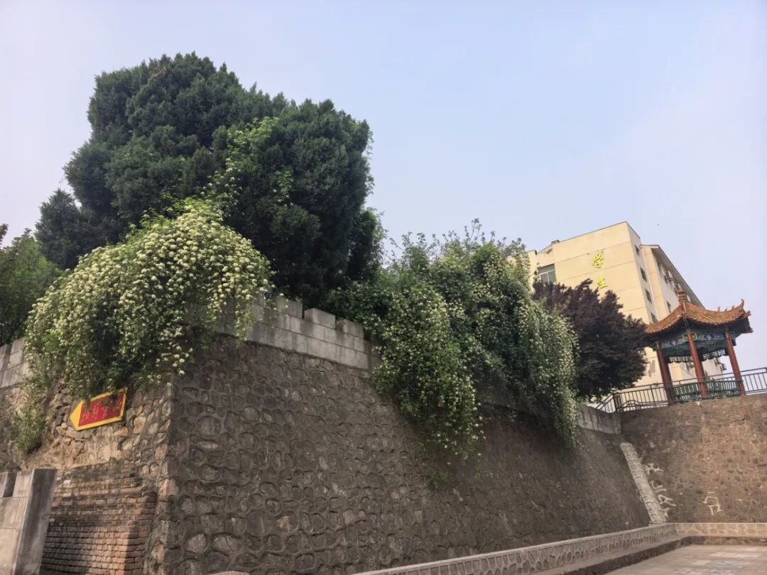 微信图片_20260414082032_374_19.jpg