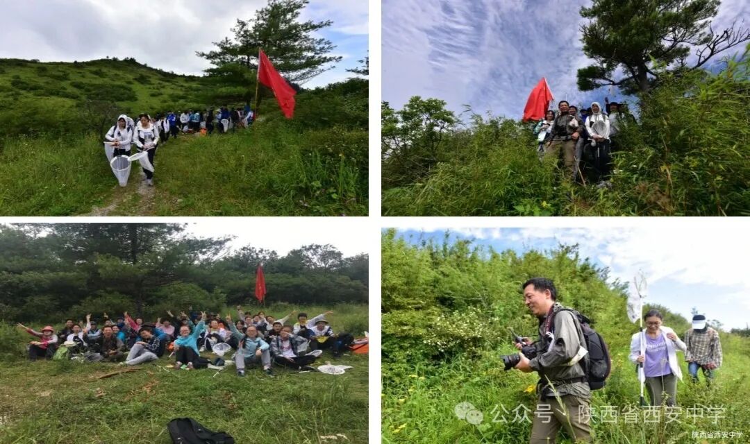 图10 行进中.jpg