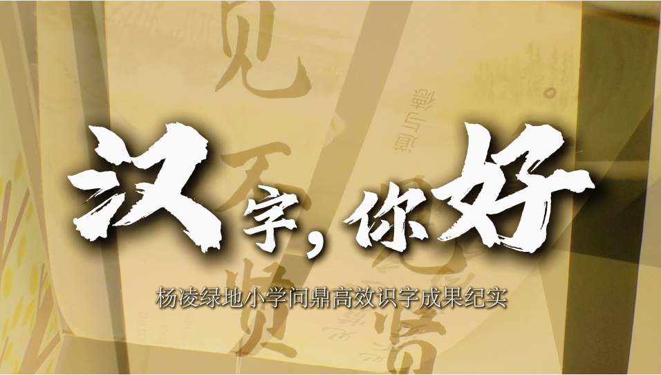 杨凌西交康桥绿地小学问鼎高效识字成果纪实