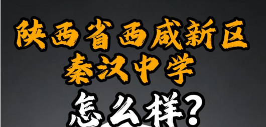 陕西省西咸新区秦汉中学怎么样？