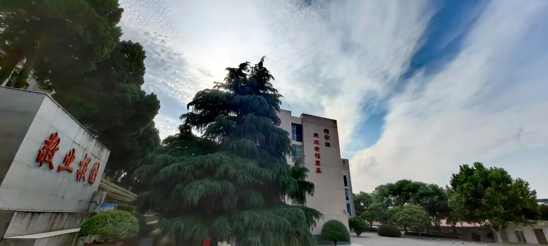 微信图片_20260125065525_78_19.jpg