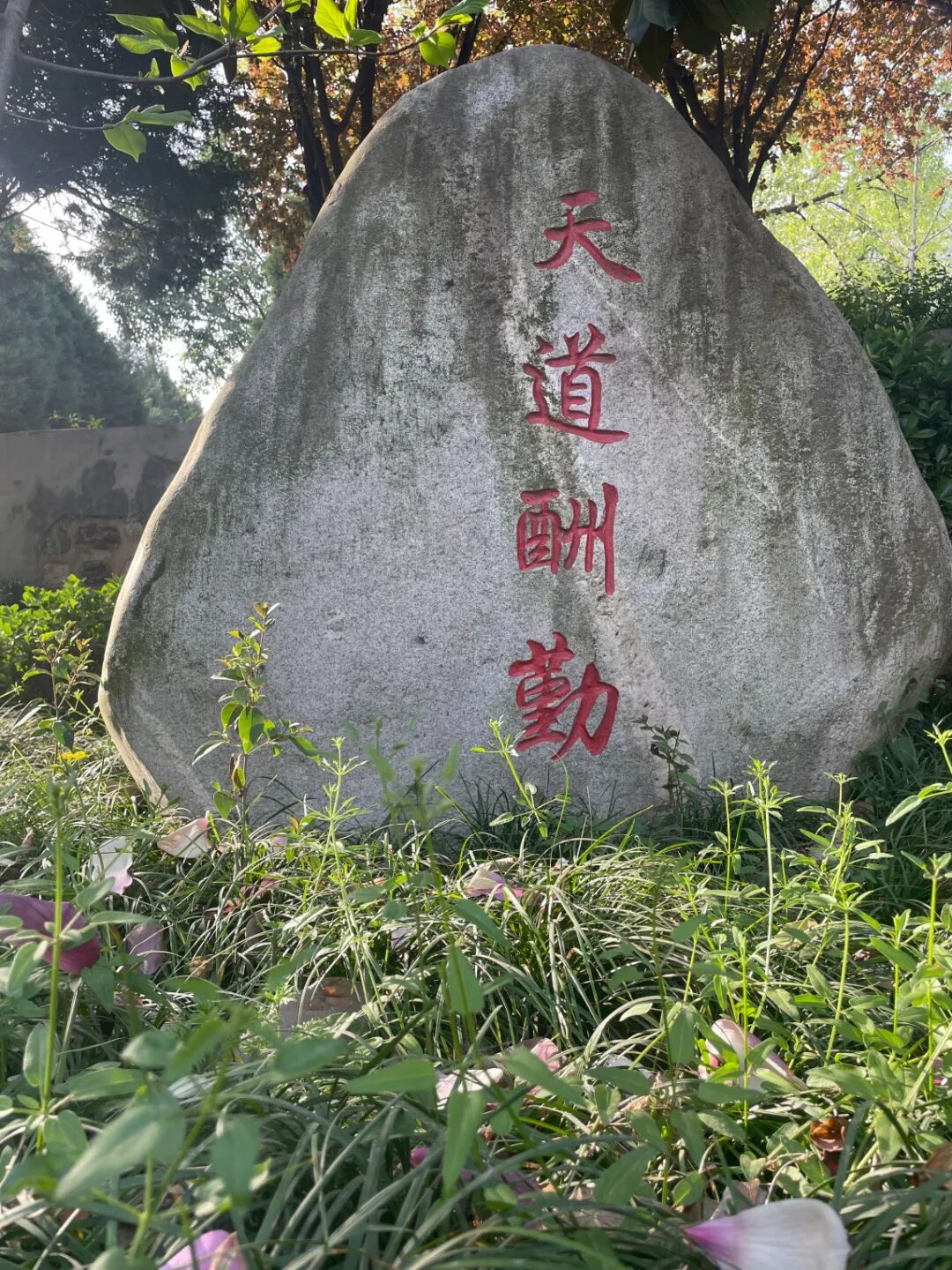 微信图片_20260327091908_27_14.jpg