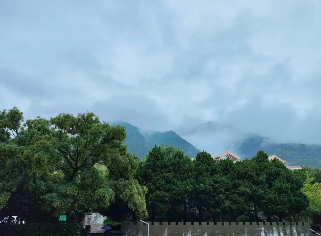 微信图片_20260327152659_50_14.jpg