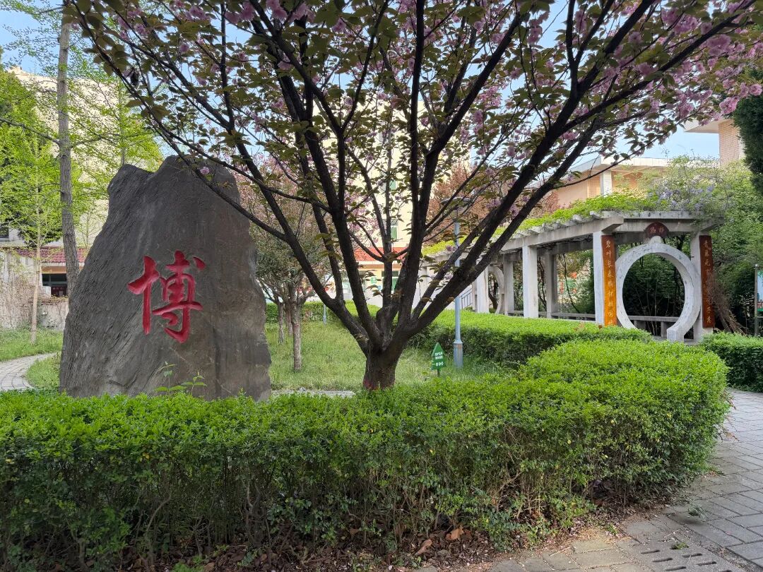 微信图片_20260408094723_326_19.jpg