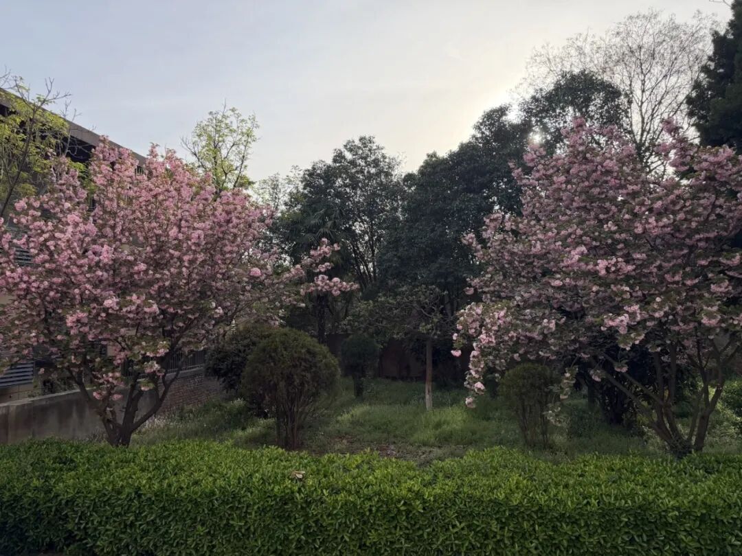 微信图片_20260408094522_311_19.jpg