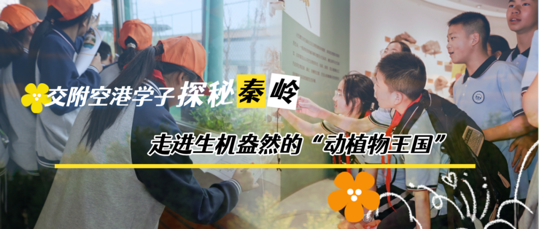 交附空港学子探秘秦岭，走进生机盎然的“动植物王国”
