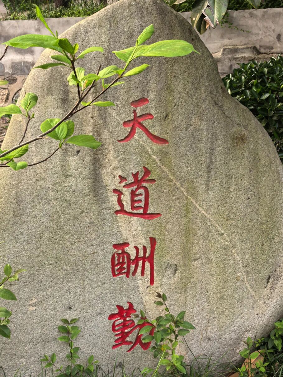 微信图片_20260414082002_359_19.jpg