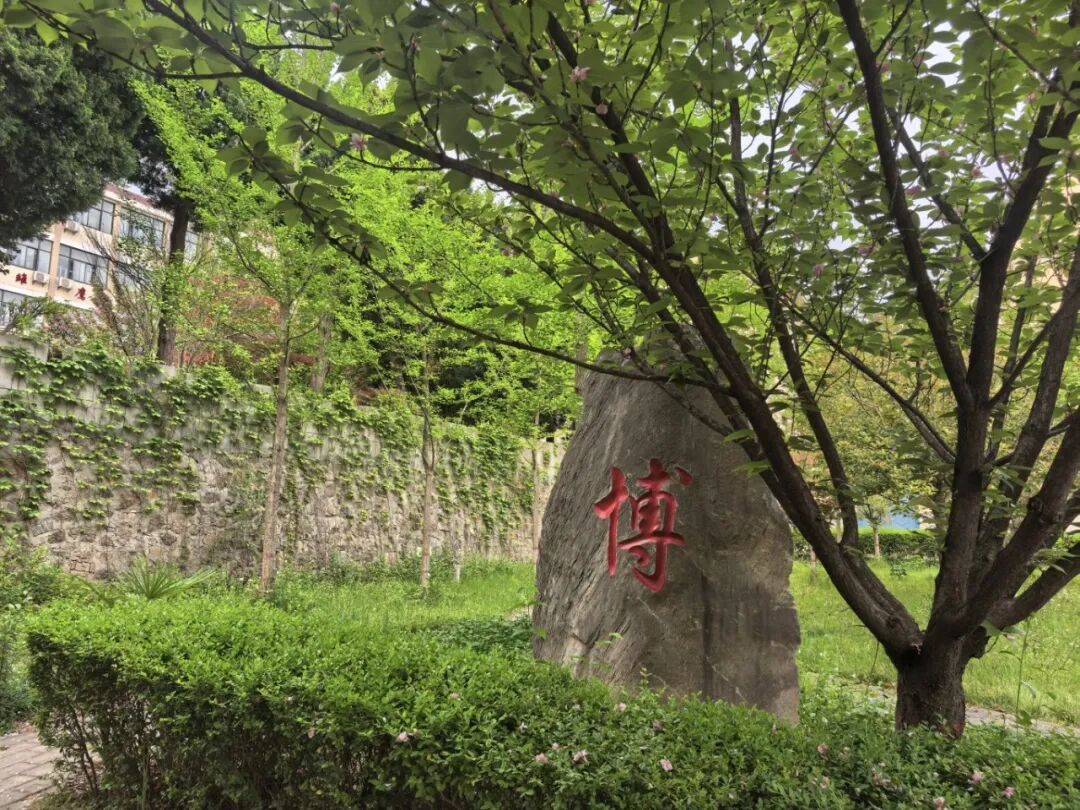 微信图片_20260414082026_371_19.jpg