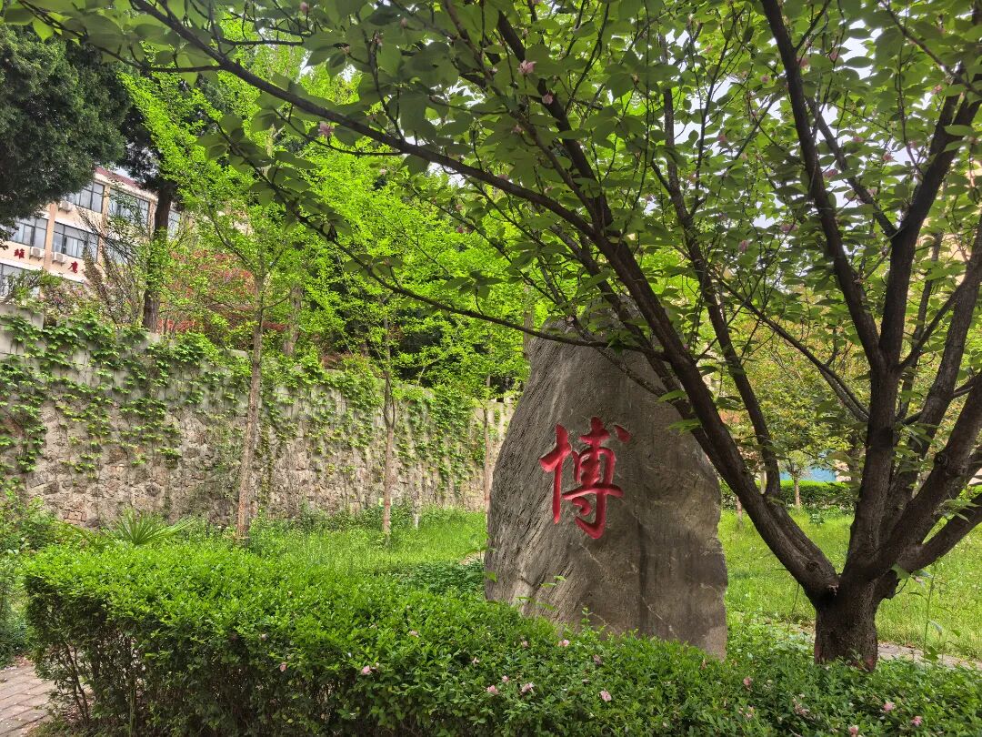 微信图片_20260414082026_371_19.jpg
