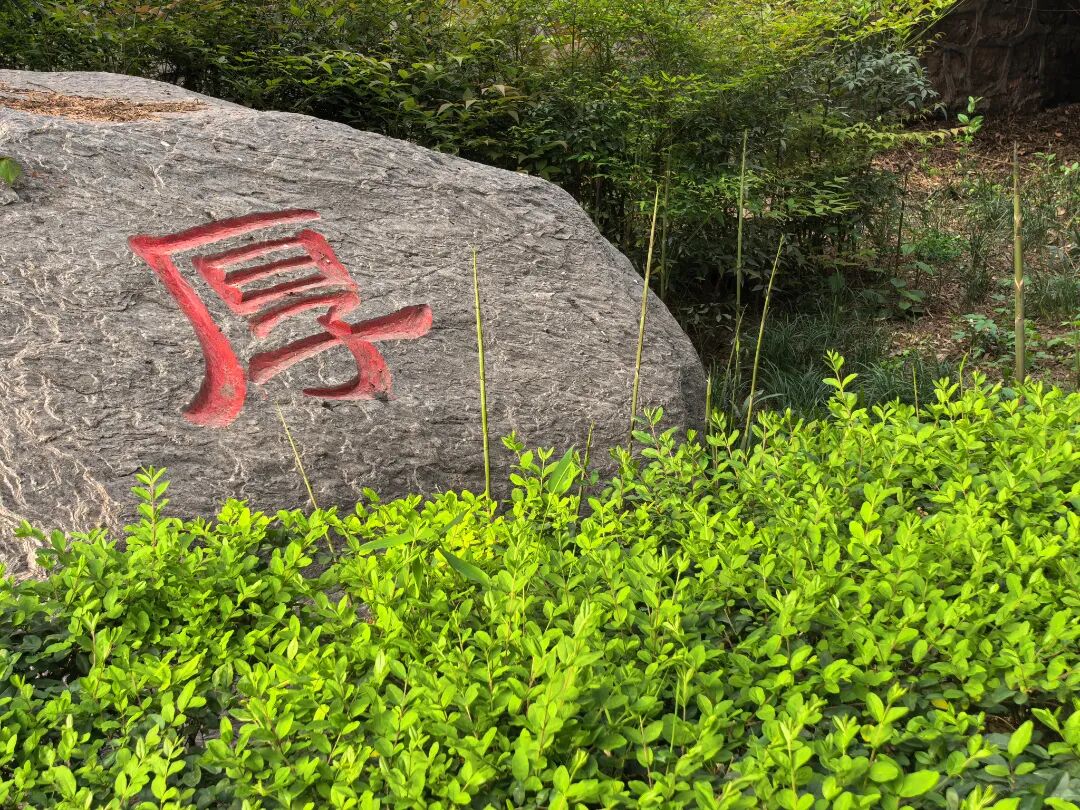 微信图片_20260414081957_357_19.jpg