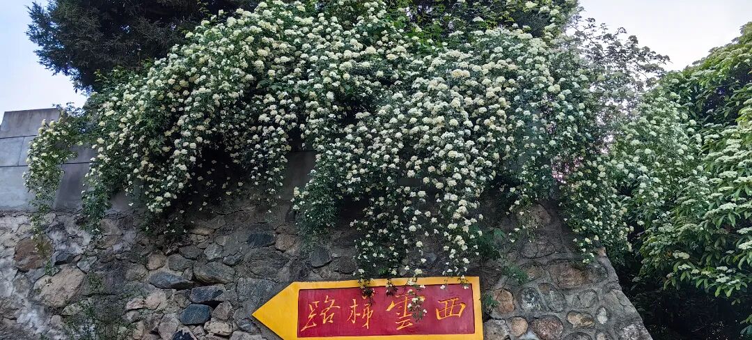 微信图片_20260327092419_253_19.jpg