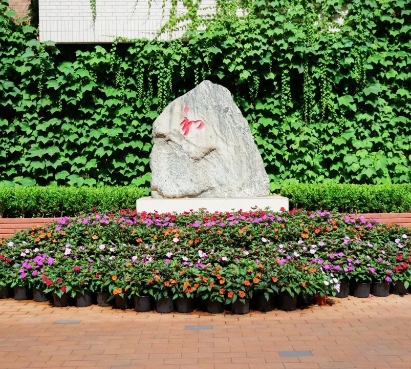 西安锦园中学学校采访