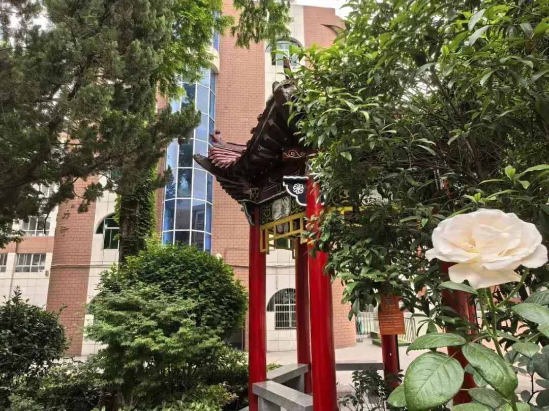 西安市第八中学学校采访