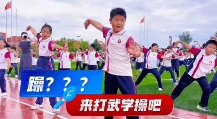 杨凌西交康桥绿地小学：习武静心，润育童心